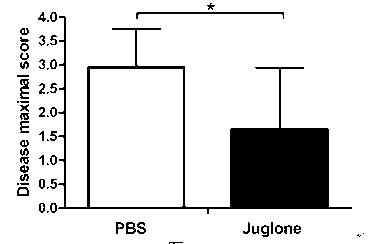 Application of juglone to preparation of medicament for treating autoimmune and inflammatory diseases