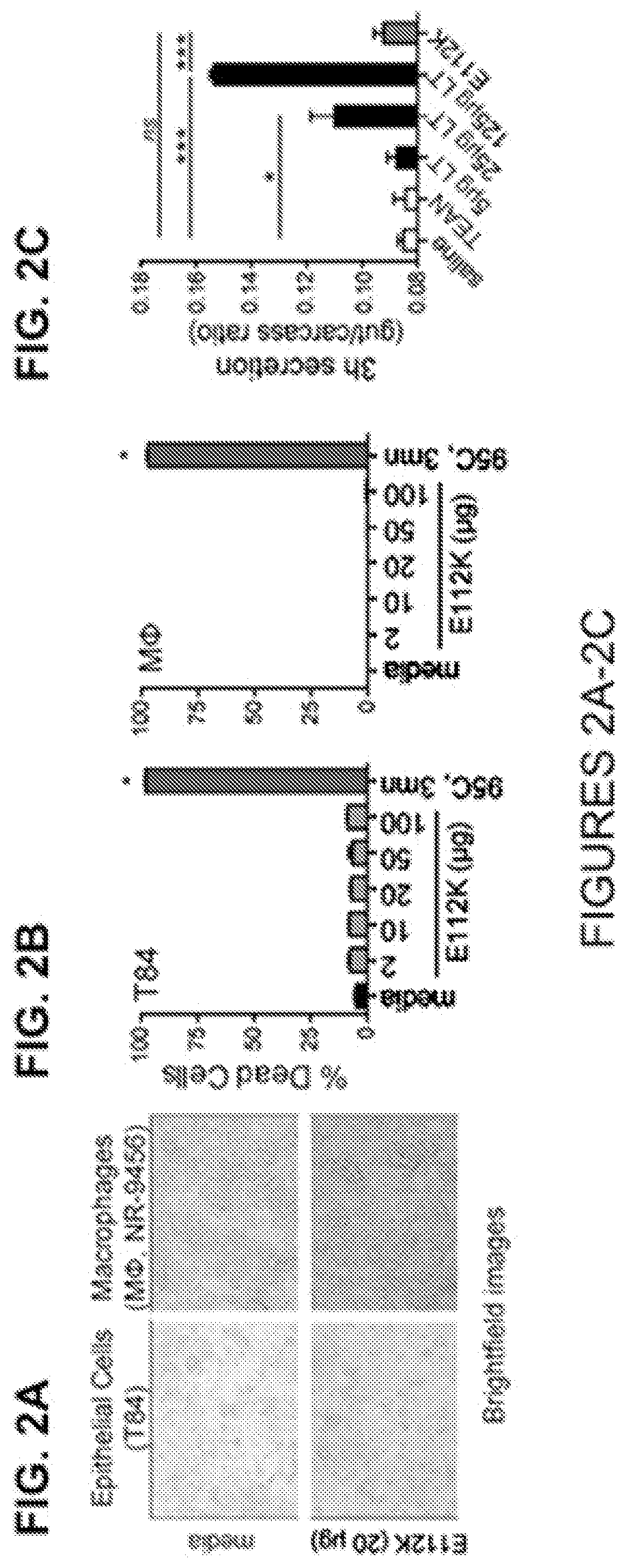 Mutated e. coli enterotoxins as Anti-inflammatory agents