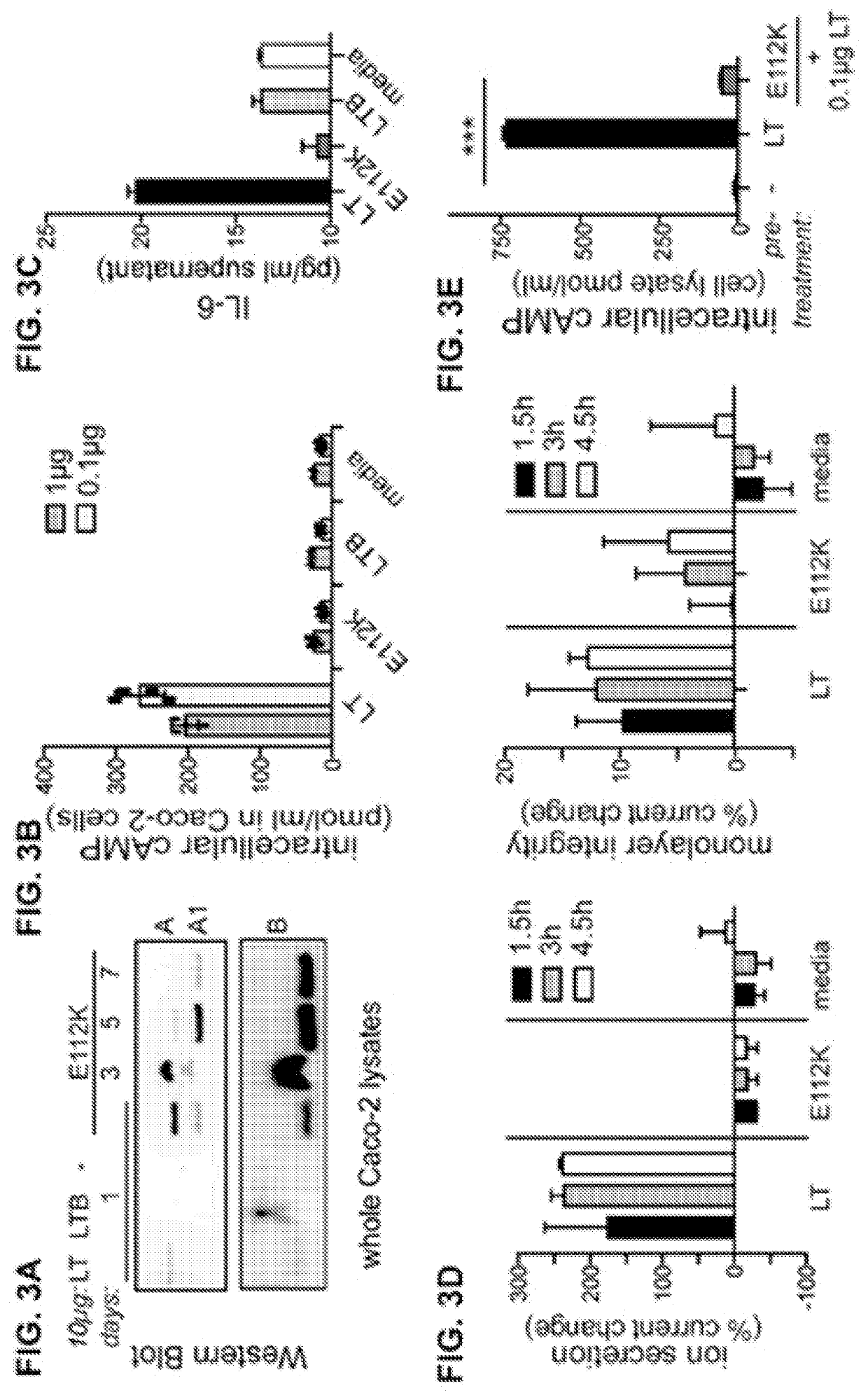 Mutated e. coli enterotoxins as Anti-inflammatory agents