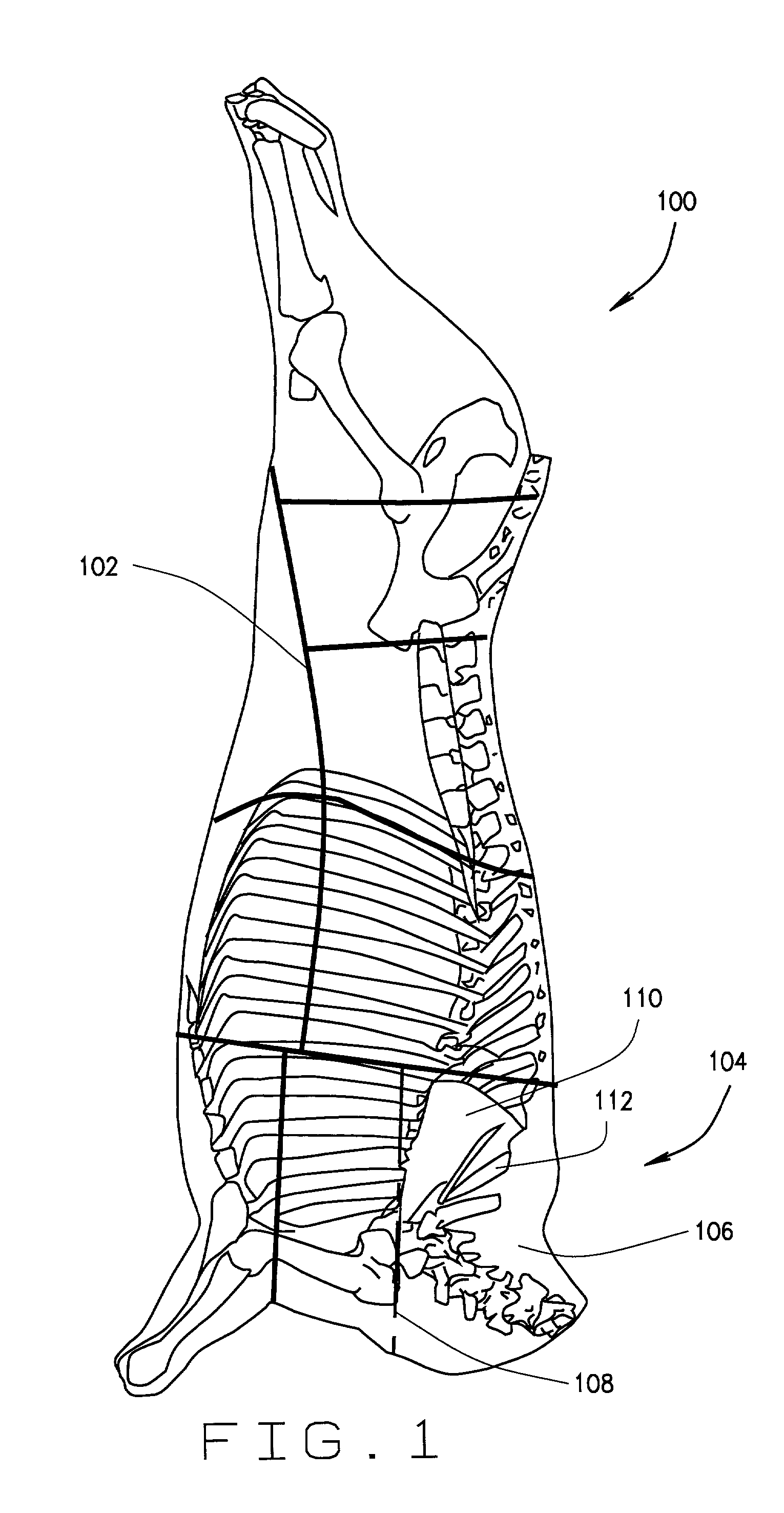 Apparatus and method for removing bones from a disassembled animal carcass
