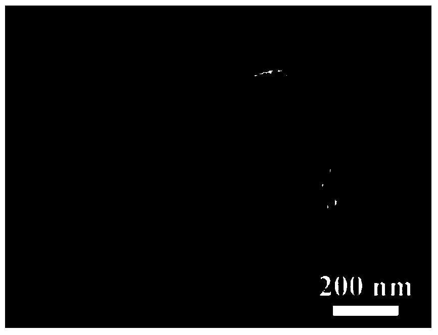 Preparation method of high-purity n-doped tio2 fully mesoporous nanofibers