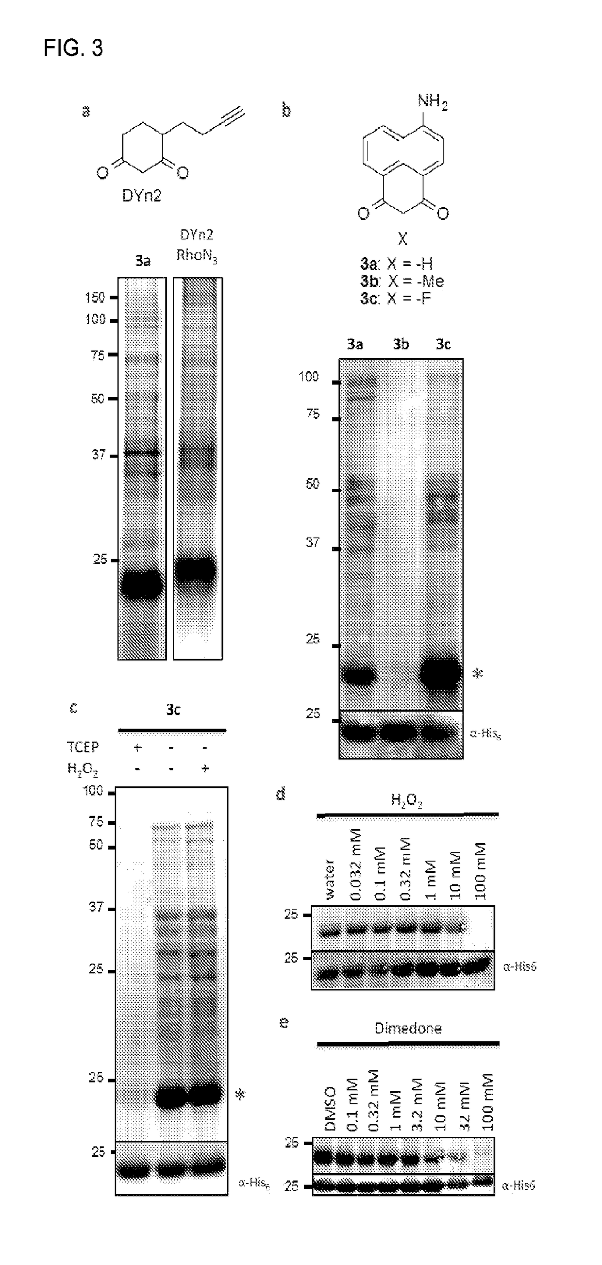 Compositions and methods for detecting protein sulfenylation