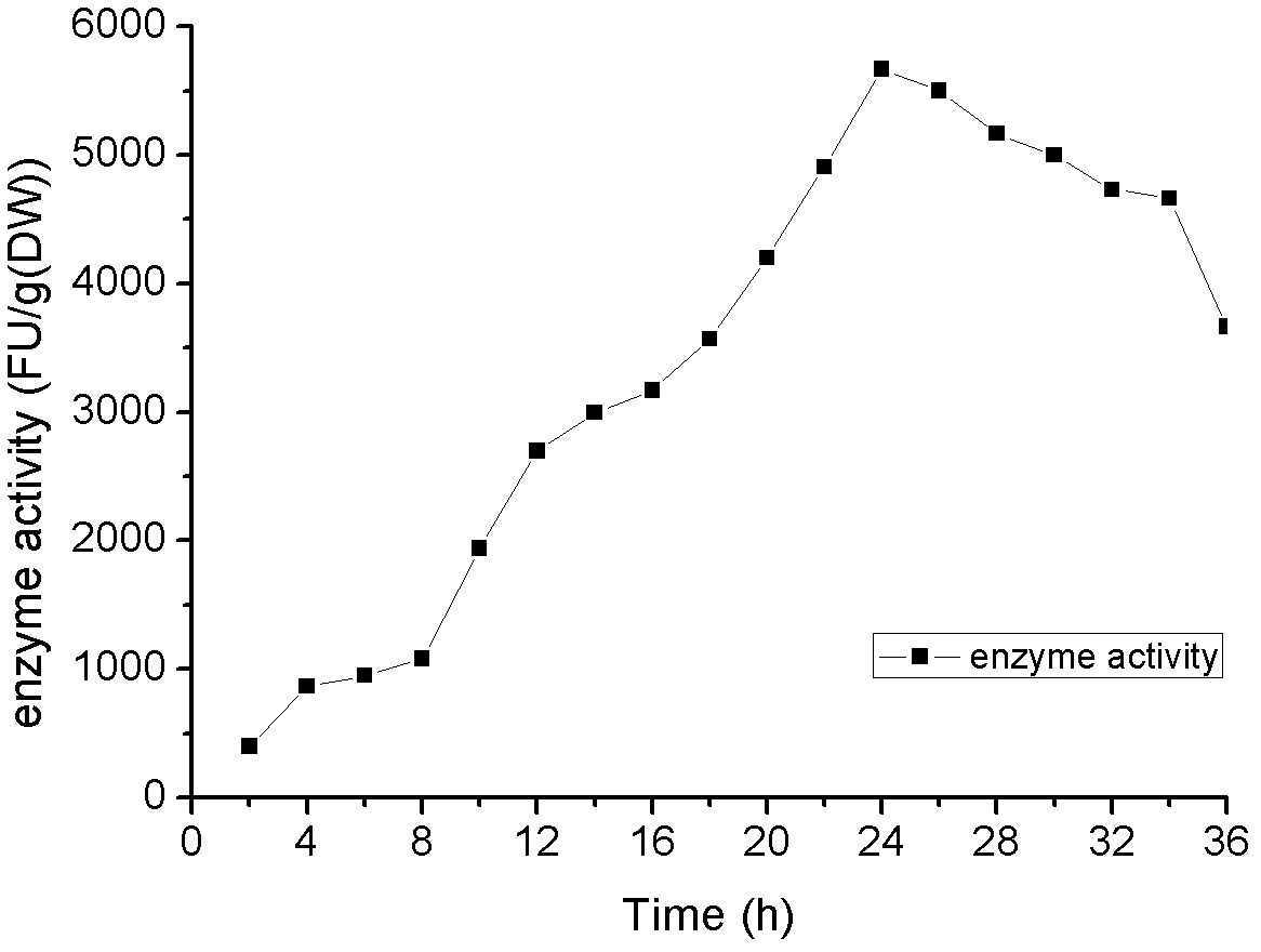 Bacillus subtilis generating nattokinase and method for producing nattokinase by fermenting same