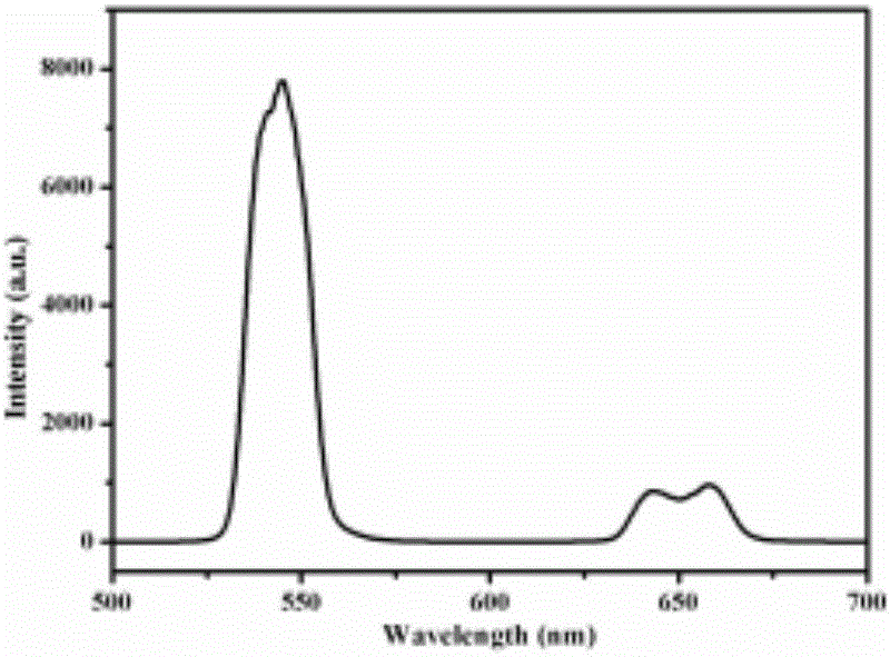 Holmium/ytterbium-codoped bisumth tungstate fluorescent powder and preparation method thereof