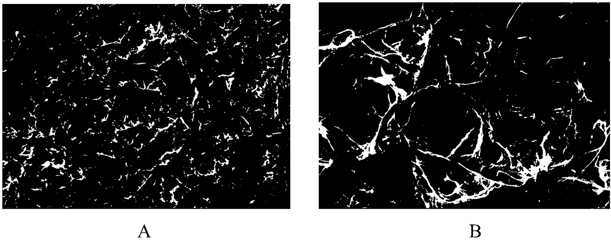 Controllable mixed nano filament filter paper as well as preparation method and application thereof