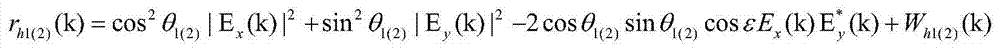 A polarization multiplexing direct detection system and method