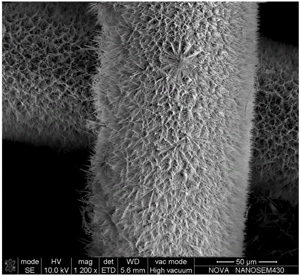 A preparing method for a hydrogen production composite catalytic electrode