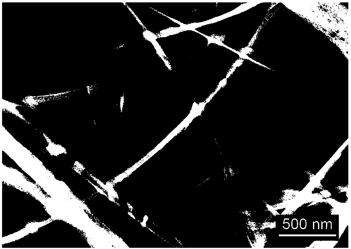 Silver nanoparticle modified titanium dioxide nanofiber membrane material as well as preparation method and application thereof