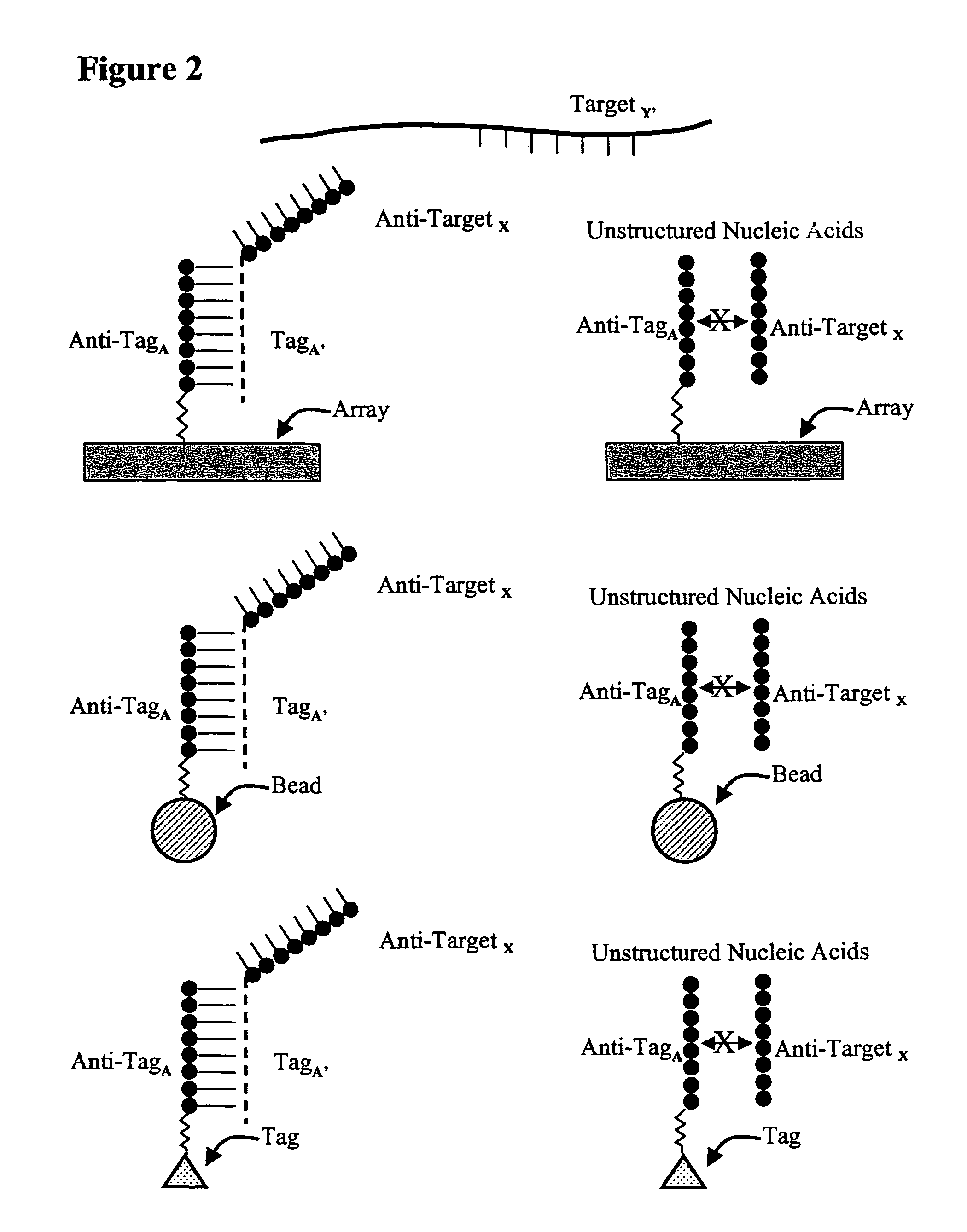 Use of unstructured nucleic acids in assaying nucleic acid molecules