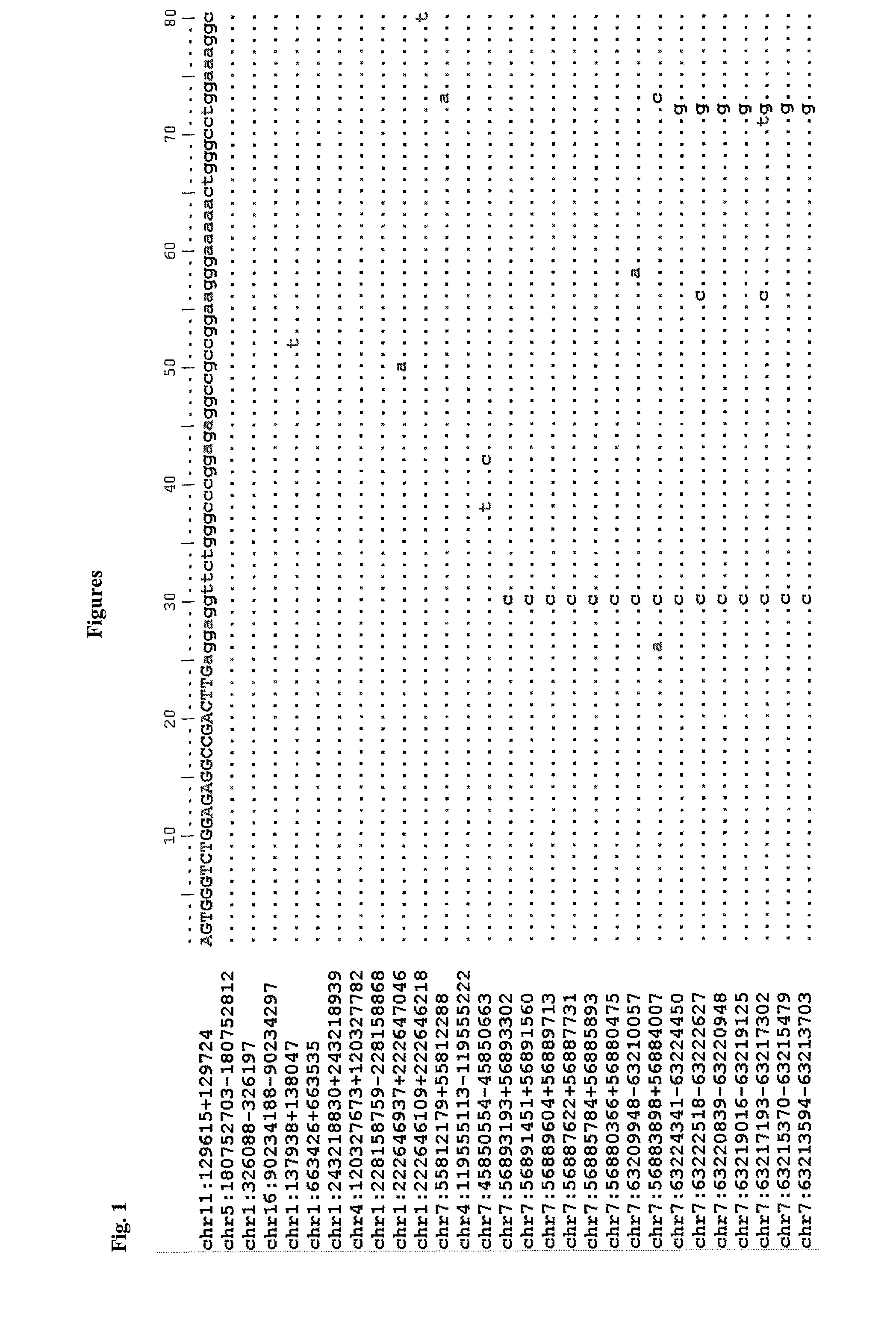 Method for detecting and/or quantifying human DNA