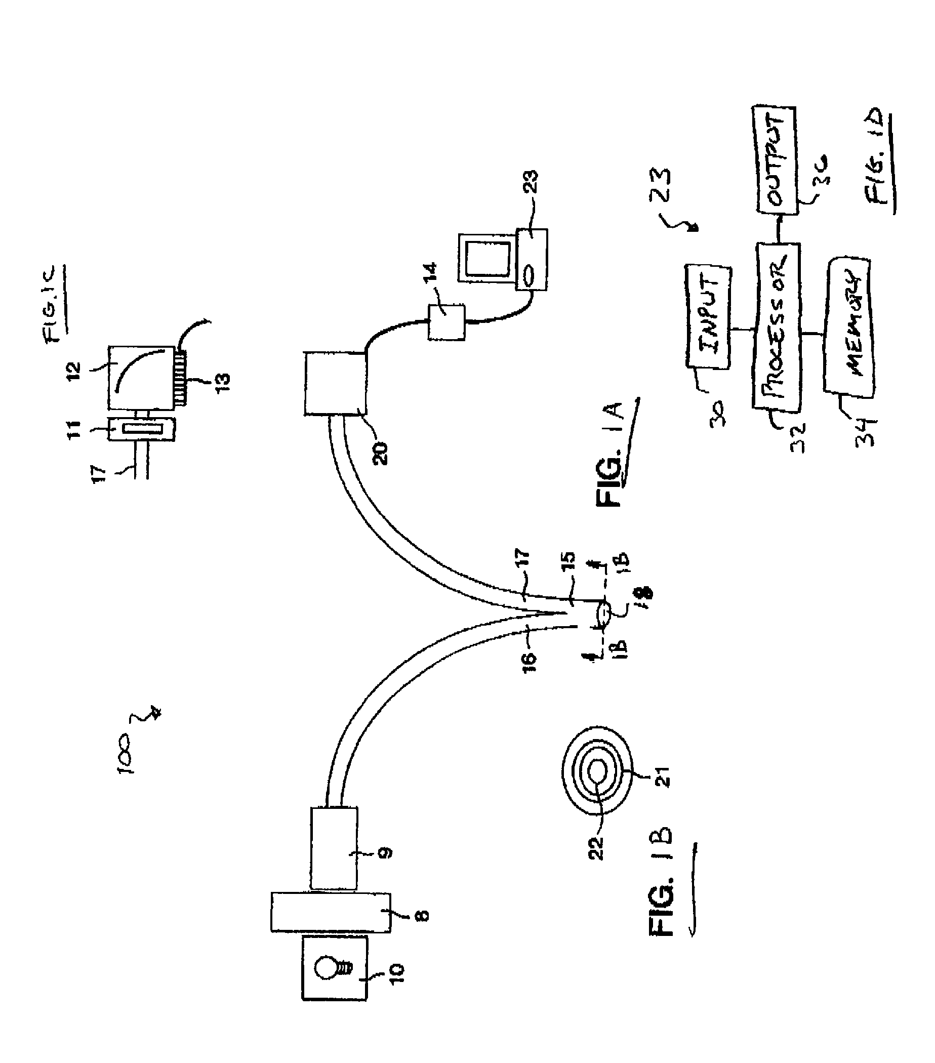 Method and system for determining the contribution of hemoglobin and myoglobin to in vivo optical spectra
