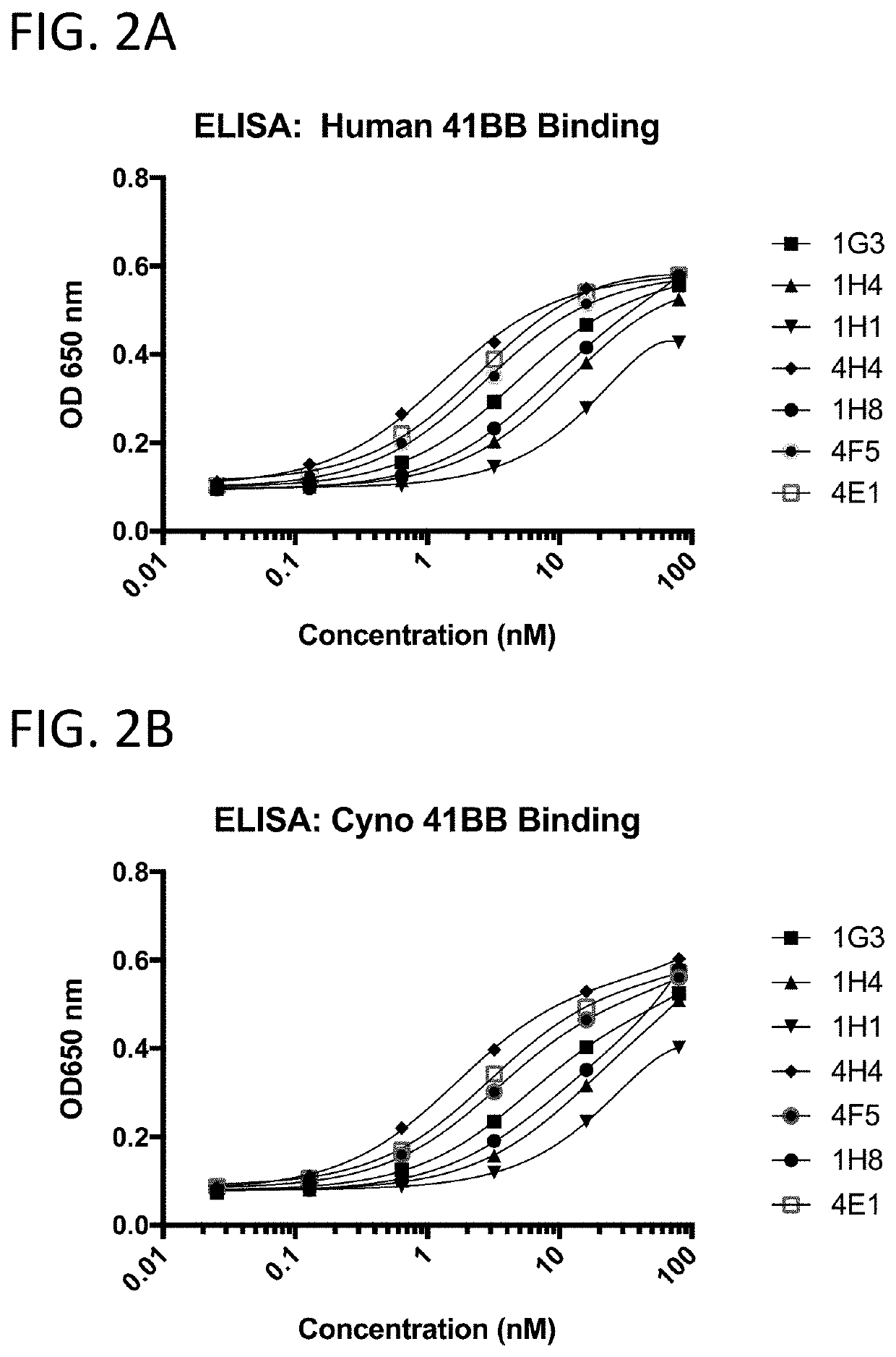 Multivalent and Multispecific 41BB-Binding Fusion Proteins