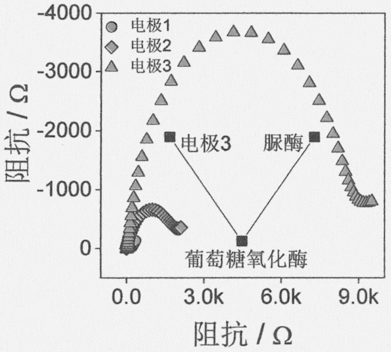 Novel electrochemical biosensing method for detecting glucose oxidase and urease and application of novel electrochemical biosensing method