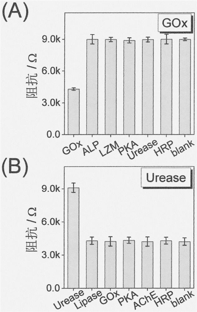 Novel electrochemical biosensing method for detecting glucose oxidase and urease and application of novel electrochemical biosensing method