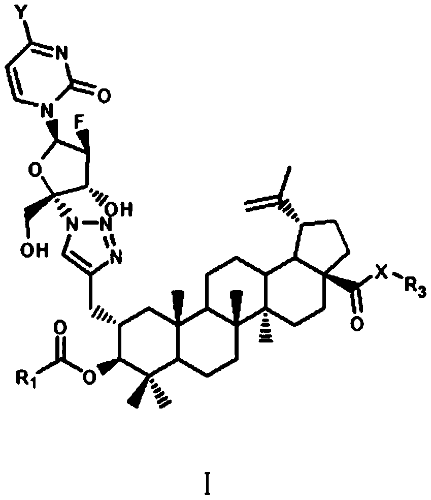 Betulinic acid derivatives and their synthesis methods and applications