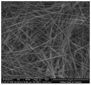 A conductive film made of alcohol-based silver nanowire ink with conductive fillers