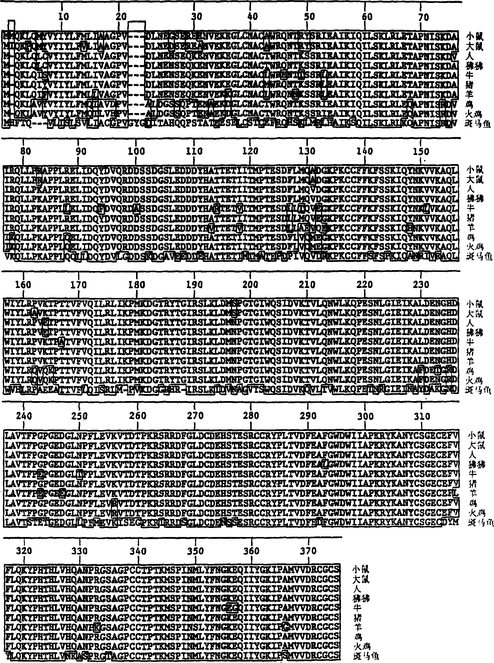 Growth differentiation factor receptors, agonists and antagonists thereof, and methods of using same