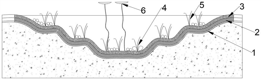 Method for constructing pond suitable for frogs to inhabit in green land