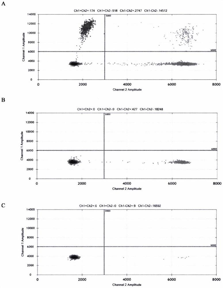 Microdroplet digital PCR (Polymerase Chain Reaction) detection method and kit for ureaplasma parvum