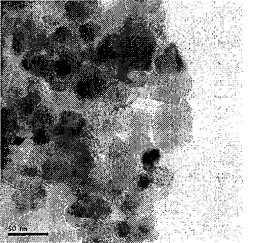 Method for preparing interface optical catalyst