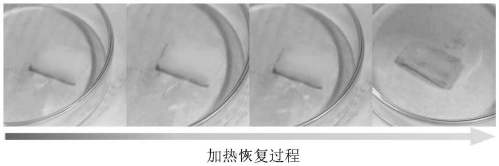 Multi-arm block type polycaprolactone color-changing polymer and preparation method thereof, and light-operated color-changing sponge and preparation method thereof