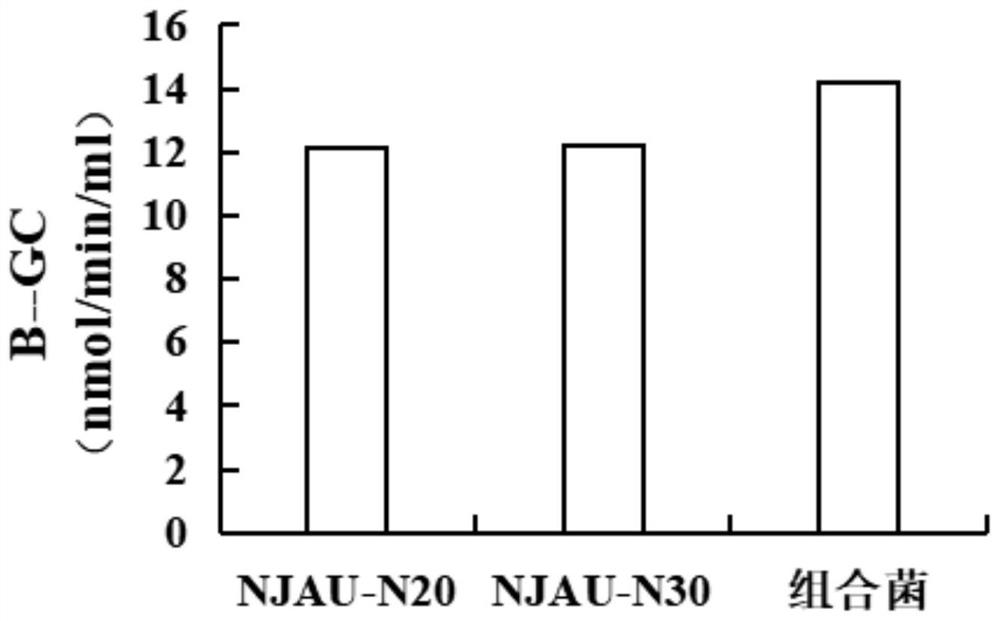 High-temperature-resistant complex microbial inoculant capable of efficiently degrading wood fibers and application of high-temperature-resistant complex microbial inoculant