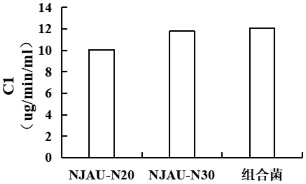 High-temperature-resistant complex microbial inoculant capable of efficiently degrading wood fibers and application of high-temperature-resistant complex microbial inoculant