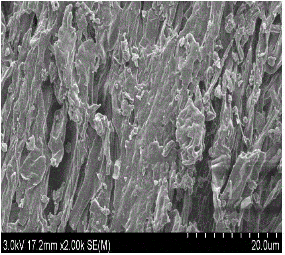 Processing method and application of enoki mushroom roots