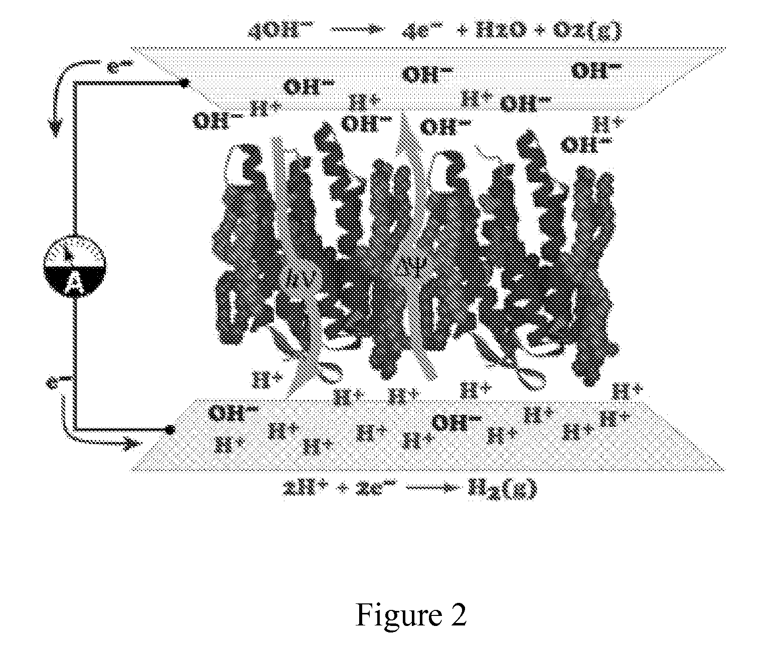 Protein-Based Photovoltaics and Methods of Use