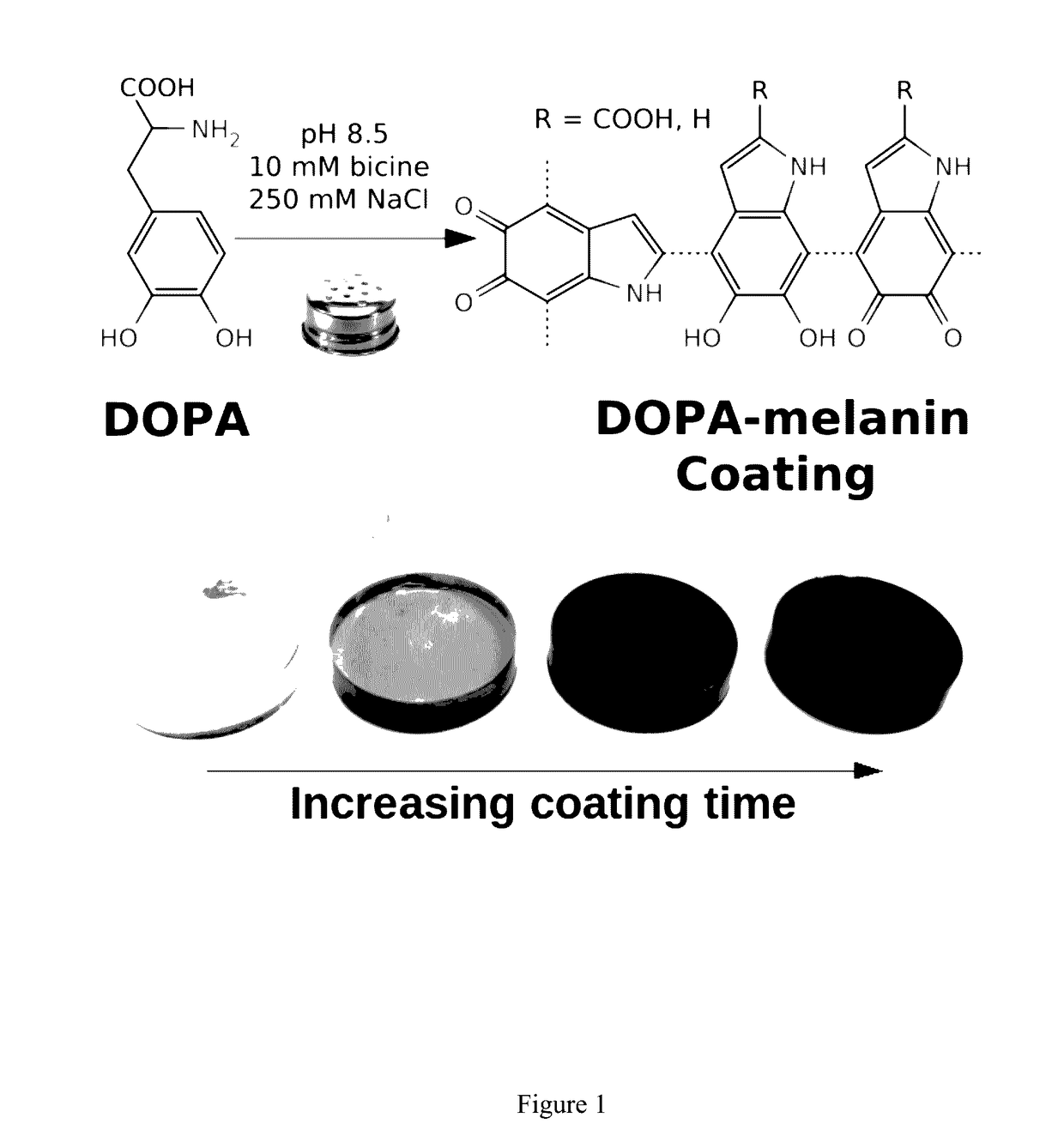 DOPA-melanin formation in high ionic strength solutions