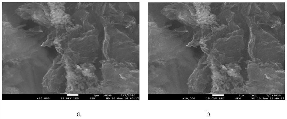 Preparation method of thermal reduction graphene oxide modified graphite cathode