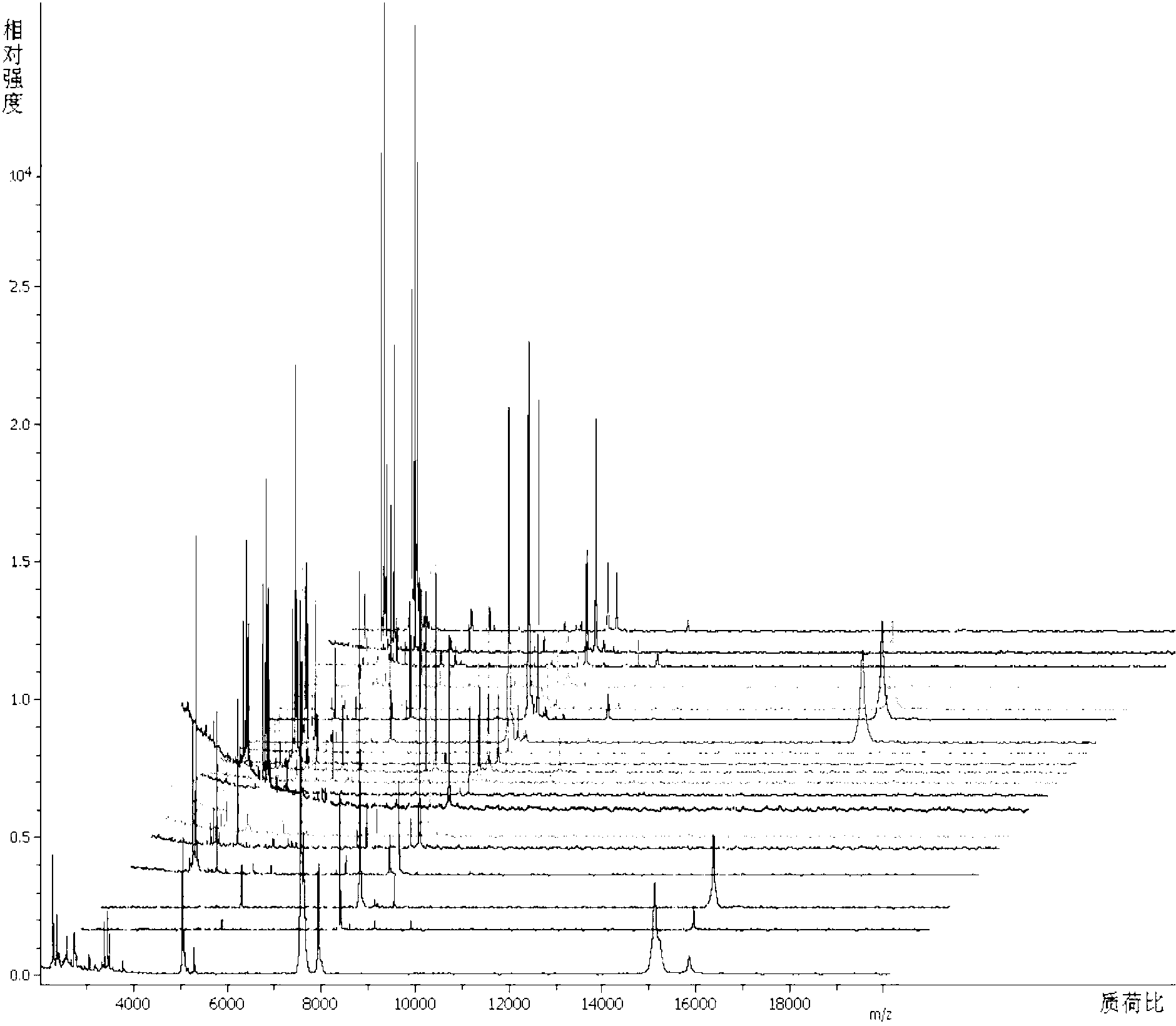 Brucella rapid detection kit based on mass-spectrometric technique