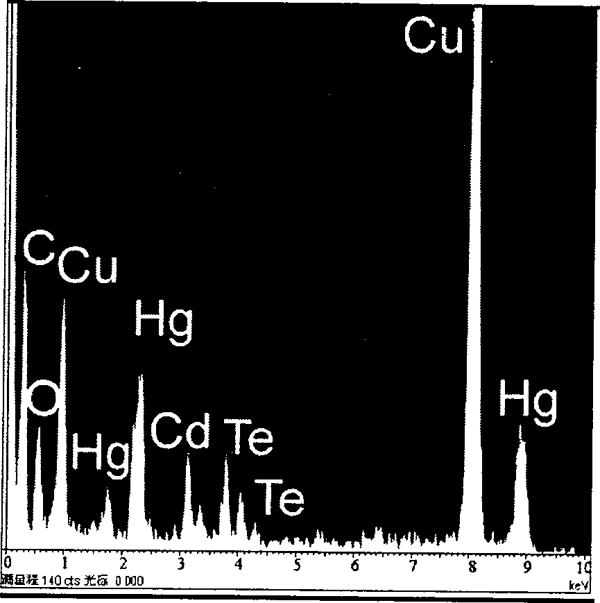 Method for synthesizing water-soluble Nano CdllgTe stick, and usage of Nano stick