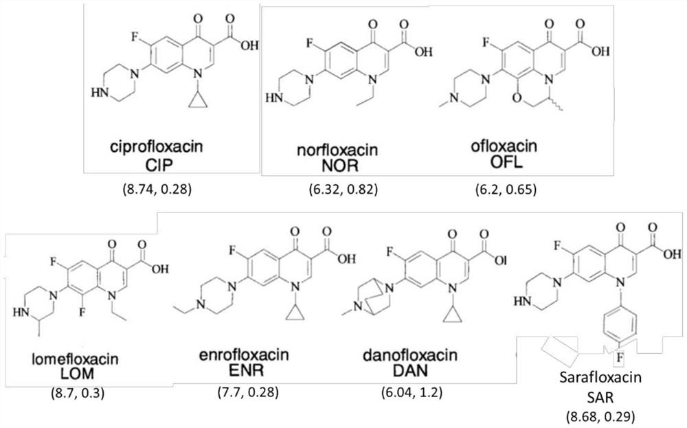 A method for extracting and analyzing quinolones using a dpx tip-type dispersive solid-phase microextraction column