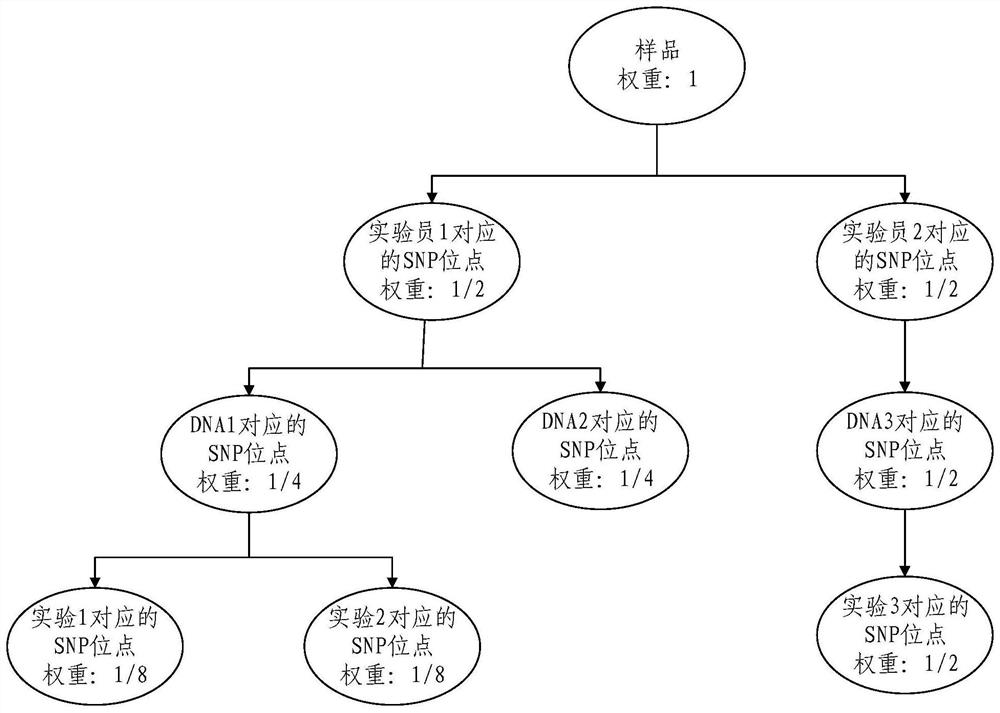 A single nucleotide polymorphism site integration method and device