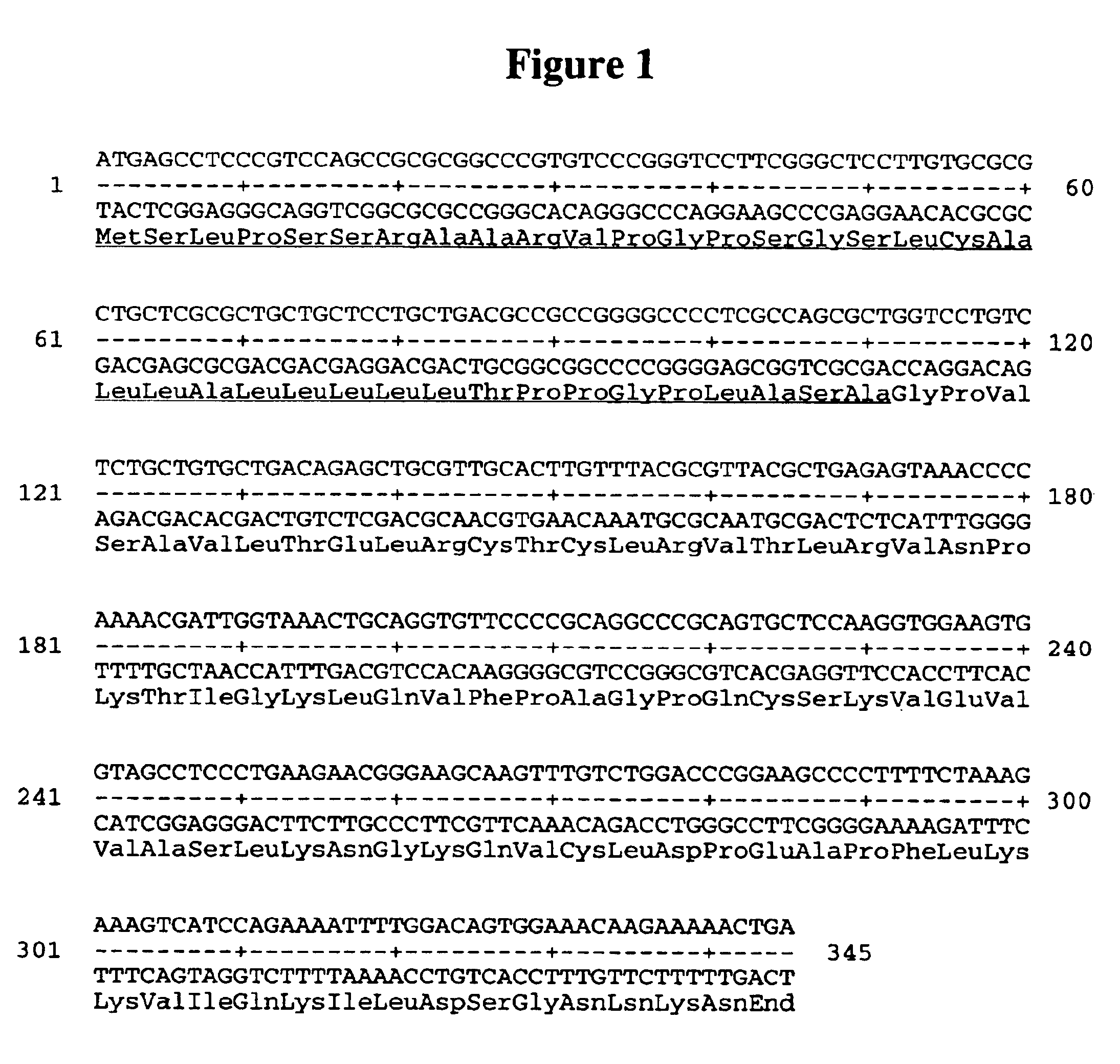 Chemokine alpha 3