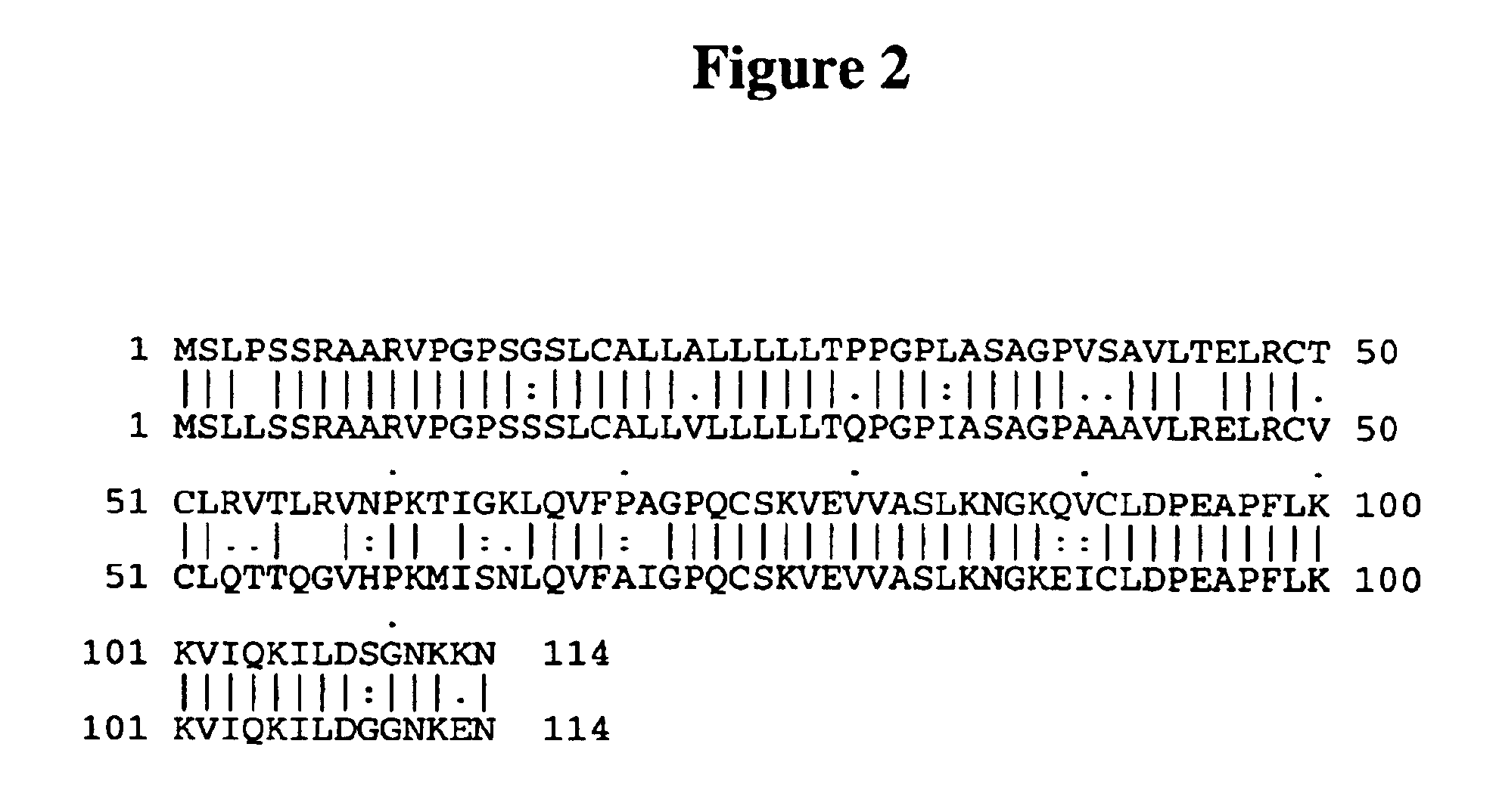 Chemokine alpha 3