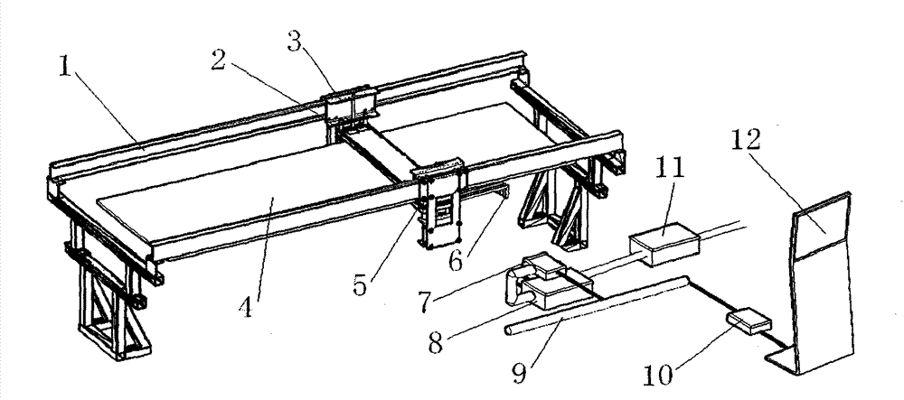 Steel cord belt flaw detection system and detection method therewith