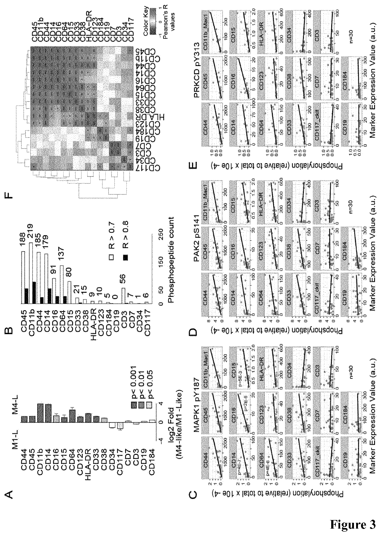 Stratification Of Acute Myeloid Leukaemia Patients For Sensitivity To Kinase Pathway Inhibitor Therapy