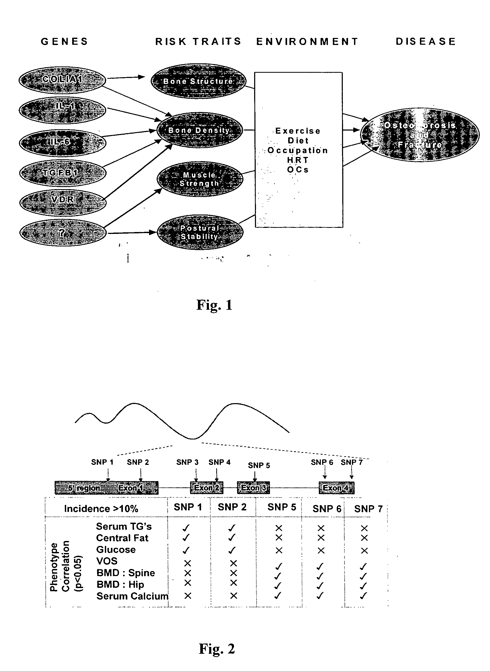 clinical-and-diagnostic-database-and-related-methods-eureka-patsnap