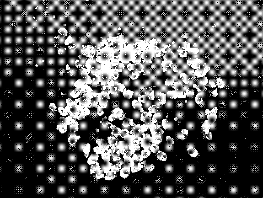 Method for drying citrate monohydrate crystals