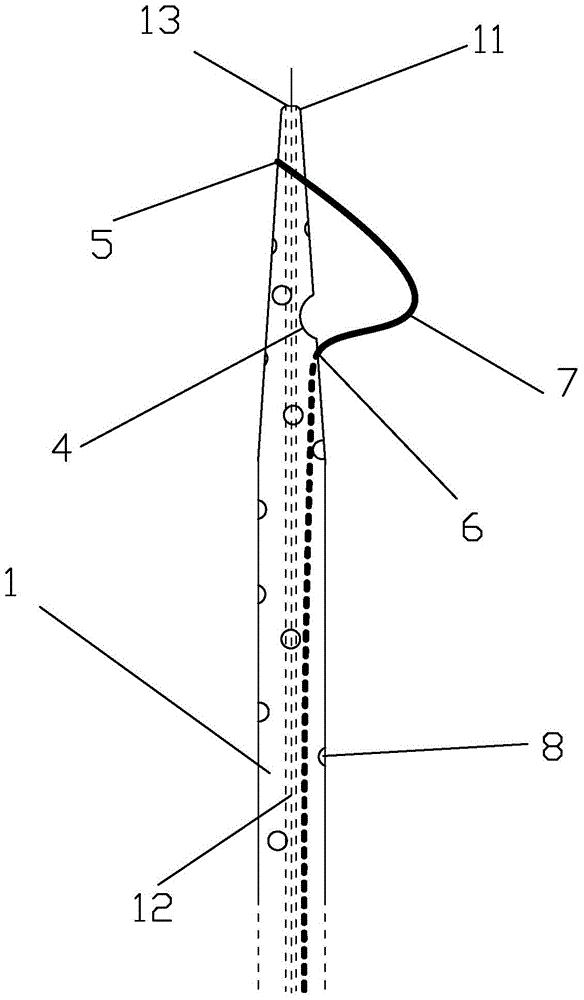 Loop type bile external drainage tube
