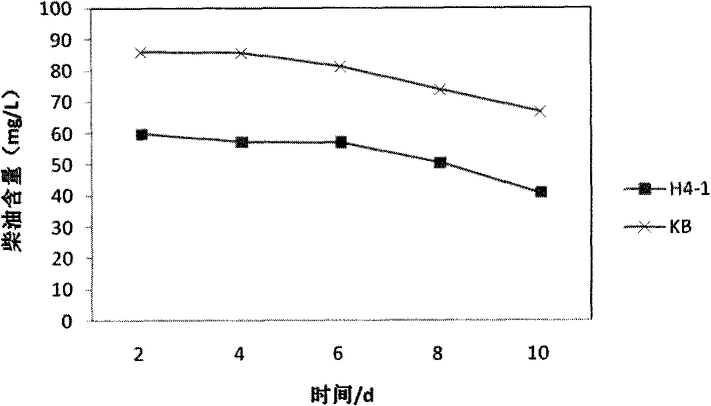 Bioremediation method for petroleum contamination and its special strains