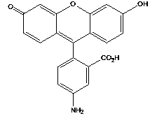 Fluorescence method and kit for testing lymphocyte homing receptor