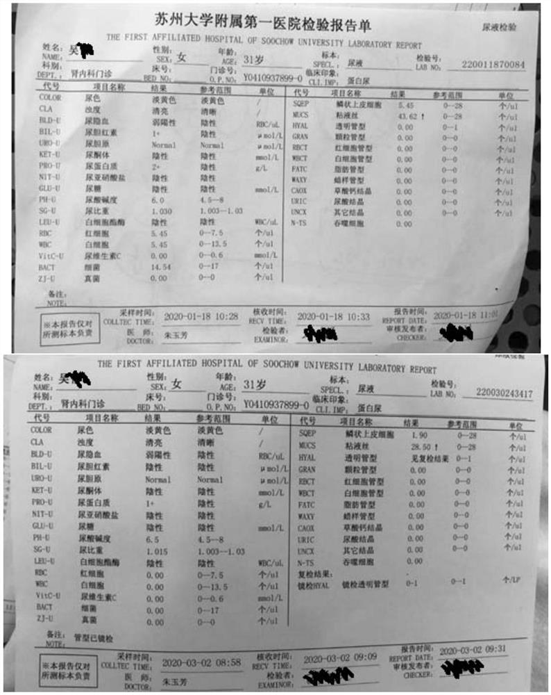 Pharmaceutical composition and application thereof to preparation of governor meridian smoothing moxibustion blocks