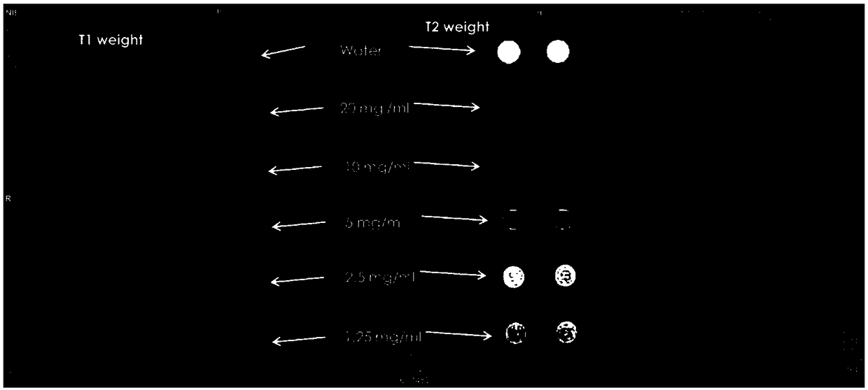 Preparation method of nano-magnetic resonance image reinforcing agent