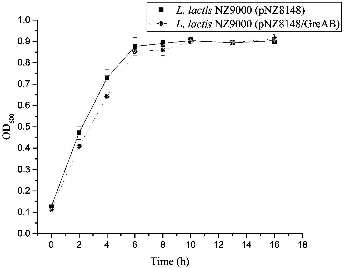 Acid-stress-resisting recombinant lactobacillus