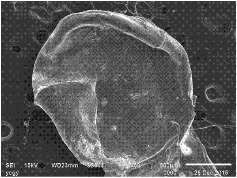 Application of attapulgite/sodium alginate organic-inorganic hybrid material in modifying cotton fabric and cotton fabric finishing method