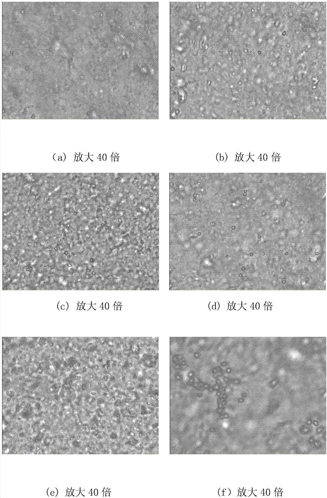 Application of attapulgite/sodium alginate organic-inorganic hybrid material in modifying cotton fabric and cotton fabric finishing method