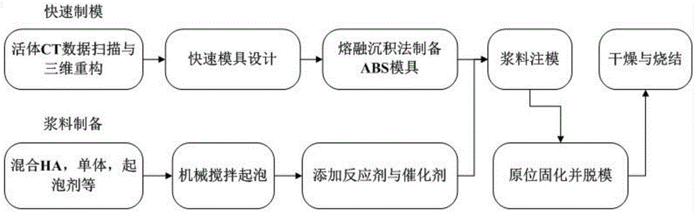 Method for preparing individual porous thyroid cartilage support